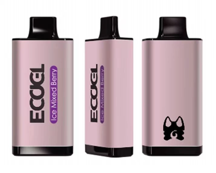 Factory Price Disposable Electronic Cigarette Disposable Vape 10000 Puffs -Wholesale Vapor Supply