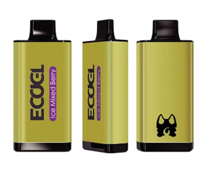 Factory Price Disposable Electronic Cigarette Disposable Vape 10000 Puffs -Wholesale Vapor Supply